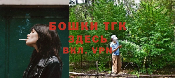 гидра Абаза