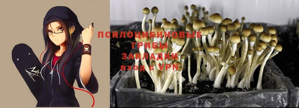 Альфа ПВП Абдулино