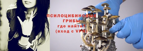 Альфа ПВП Абдулино