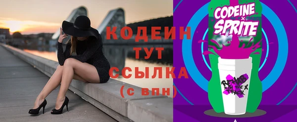 гидра Абаза