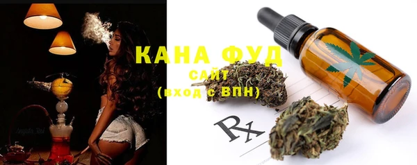 гидра Абаза