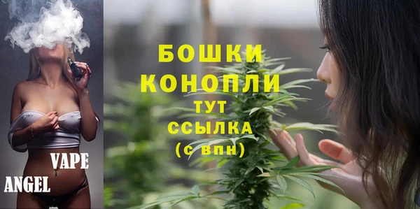гидра Абаза