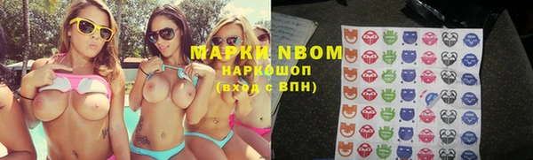 гидра Абаза