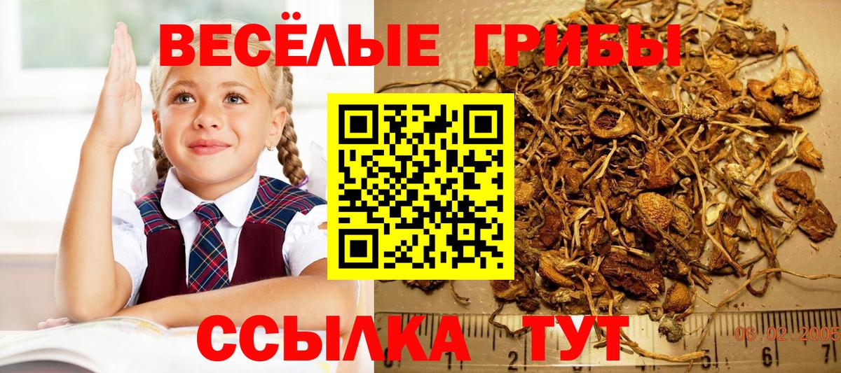 Псилоцибиновые грибы мухоморы  Галлюциногенные грибы GOLDEN TEACHER  Магнитогорск  Вход с VPN 